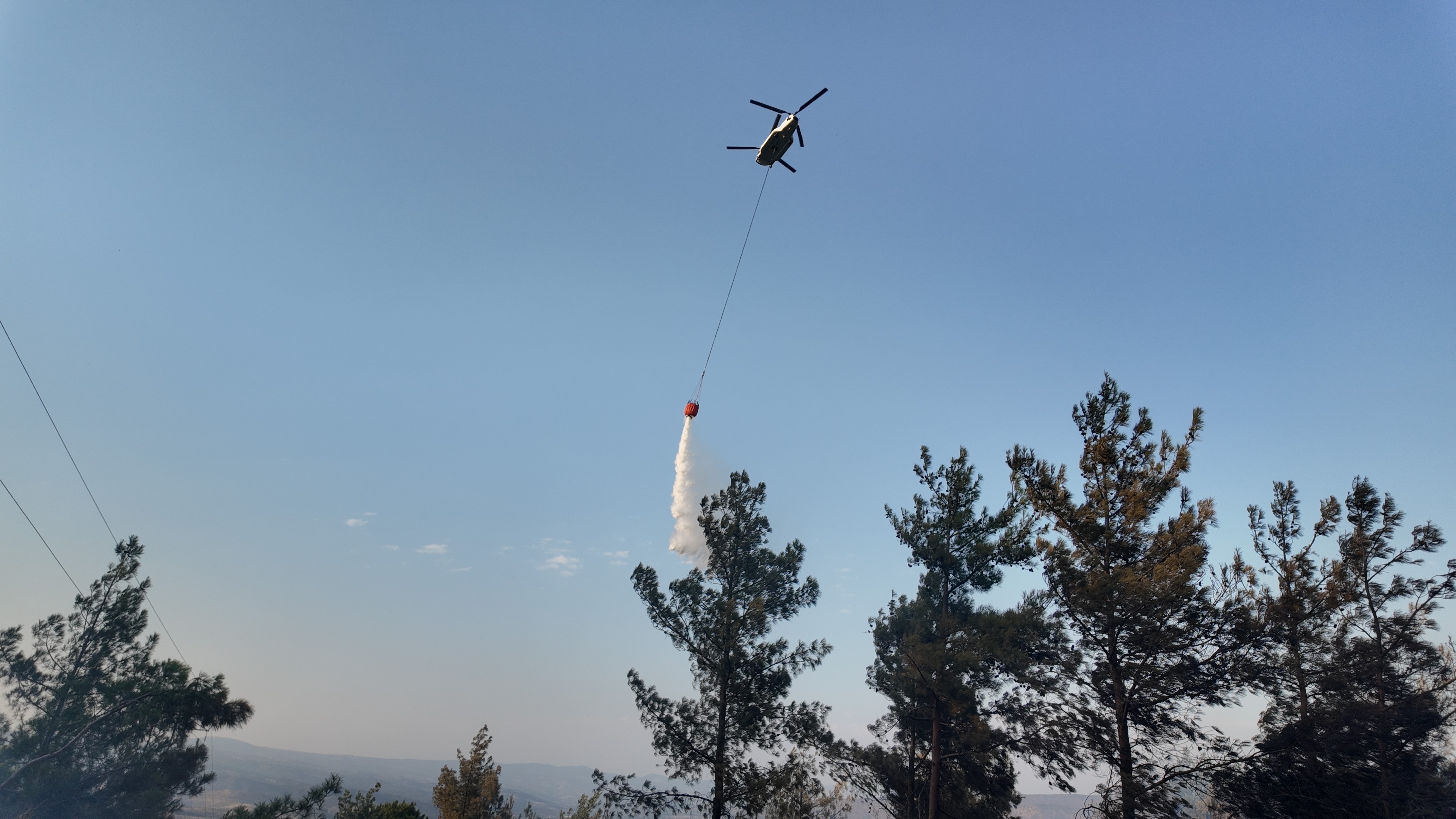 Manisa'daki Yangında 5 Hektarlık Kızılçam Ormanı Zarar Gördü (5)