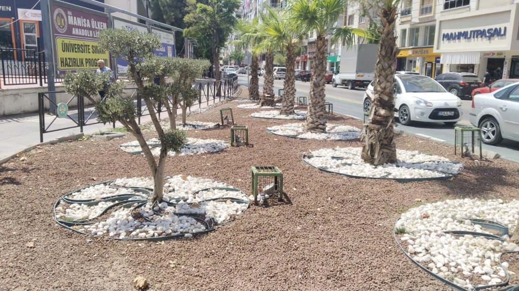 Mbüyükşehir1