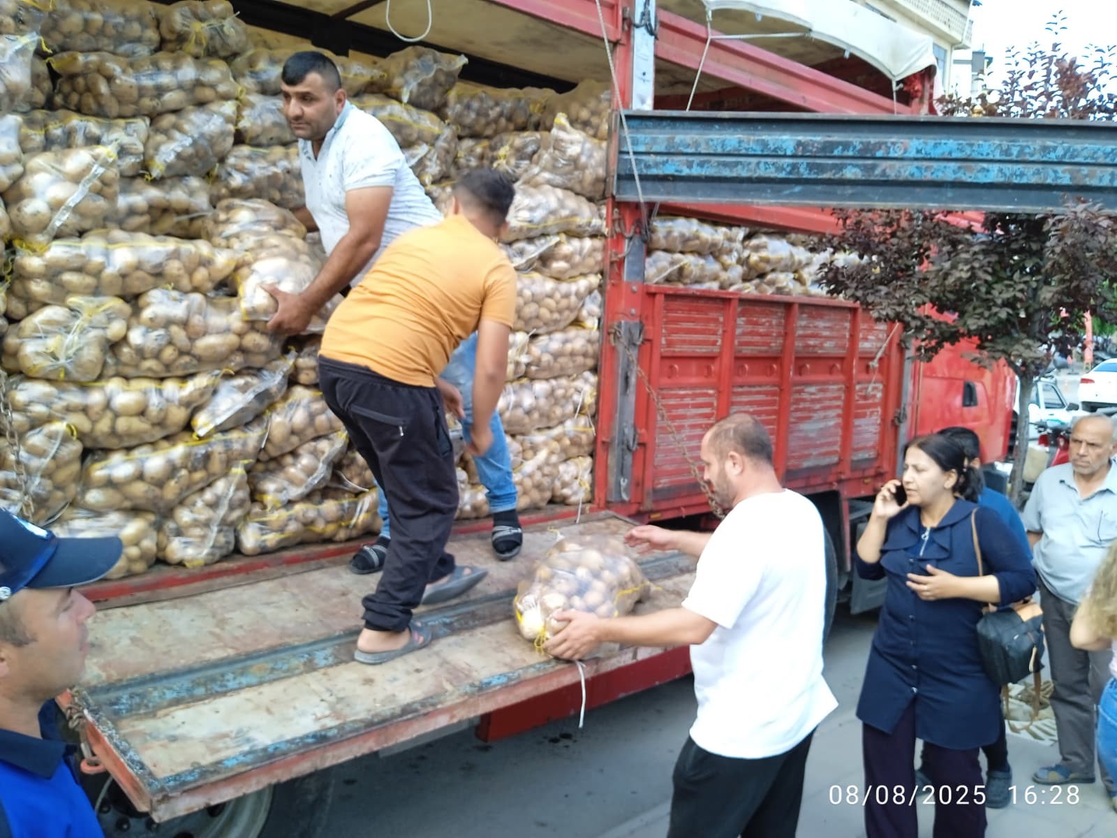 Patates (1)