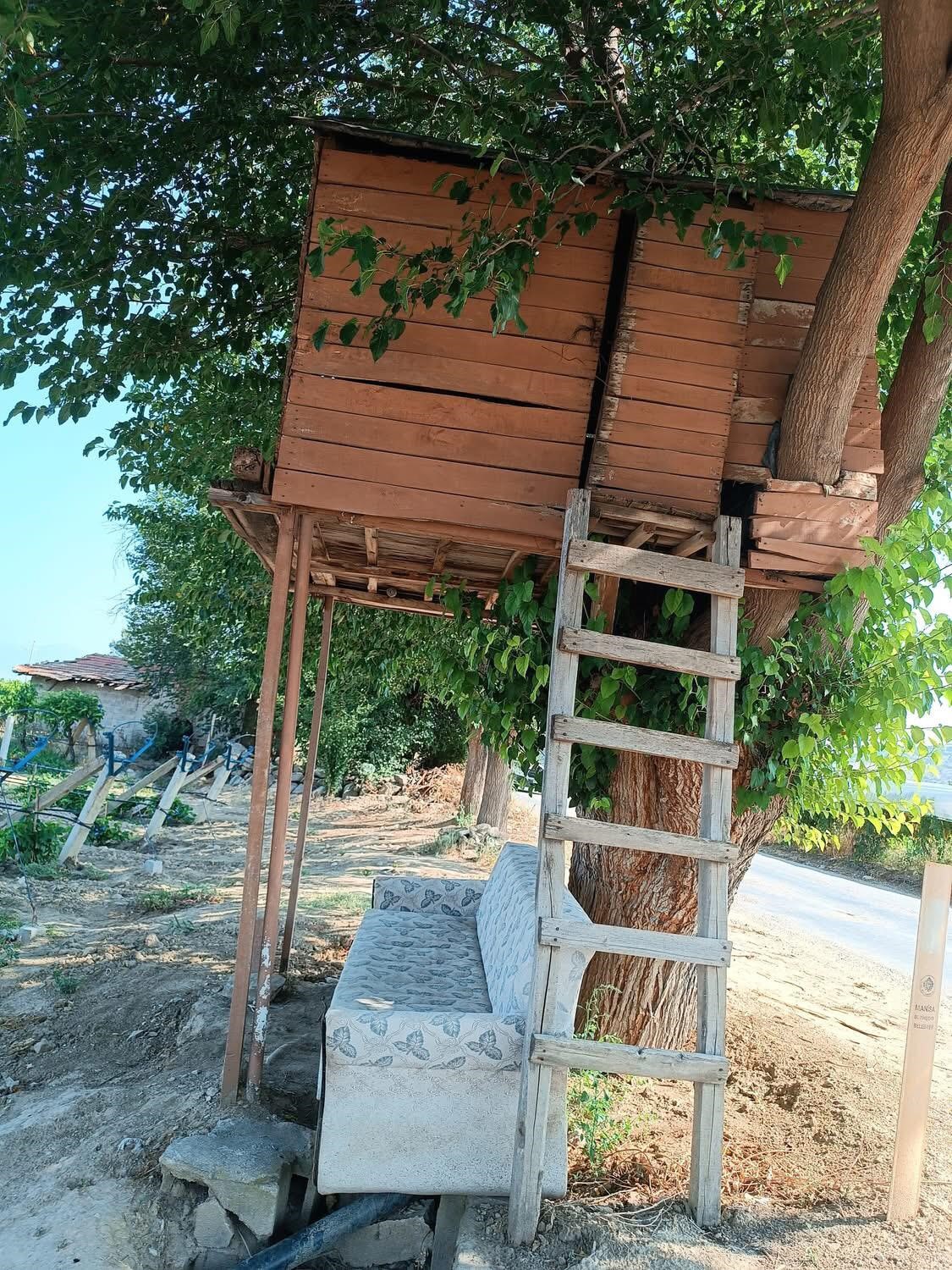 Sarıgöl Agaçkondu (1)