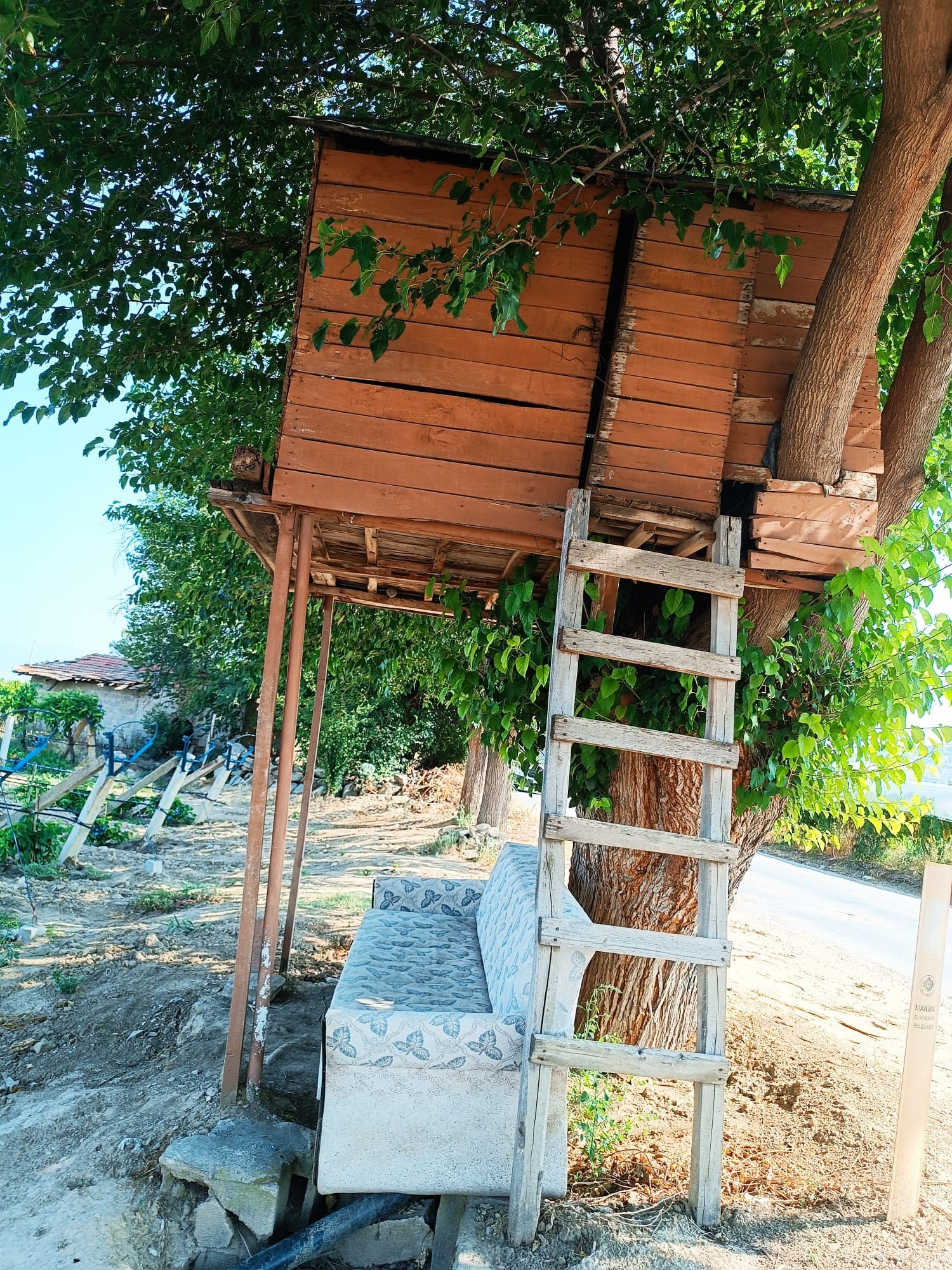Sarıgöl Agaçkondu (3)