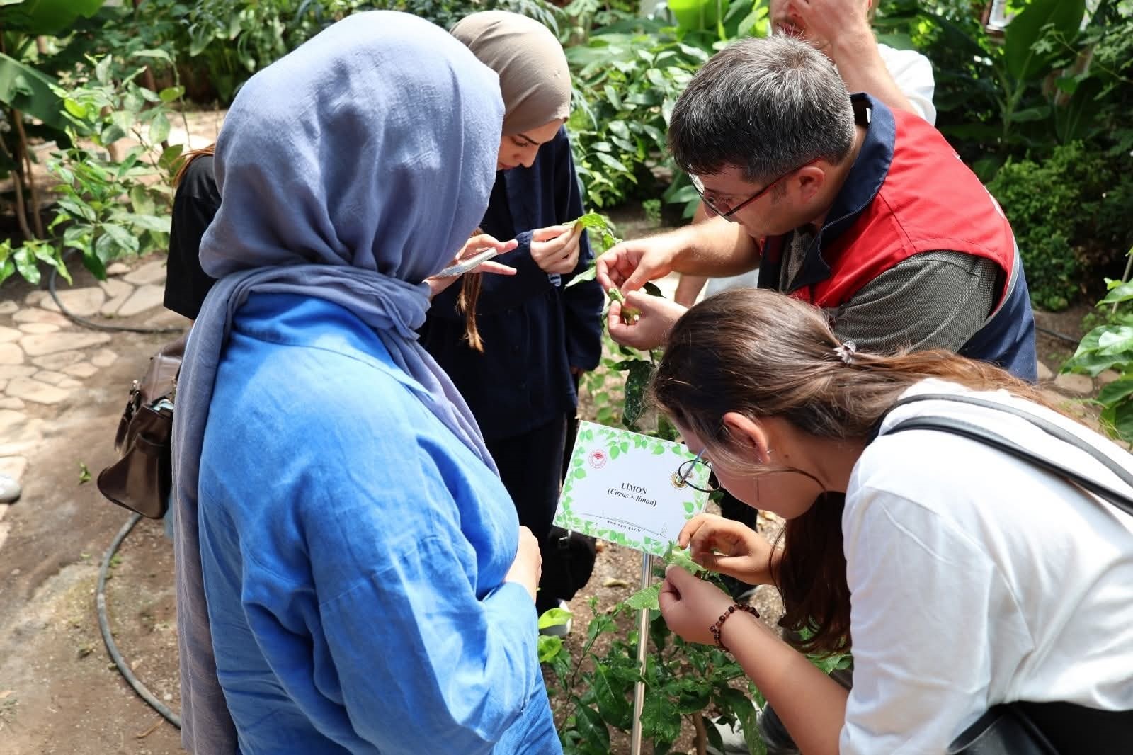 Tıbbi Ve Aromatik Bitkiler Merkezi'nde Stajyer Öğrencilerin Katılımıyla Teknik Gezi Gerçekleştirildi (1)
