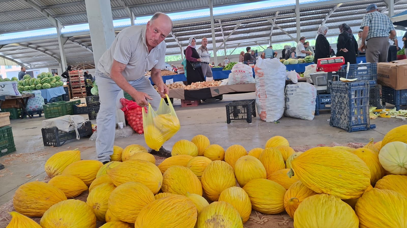 Yerli Kavun 20 Tl’den Tezgâhta Yerini Aldı (1)