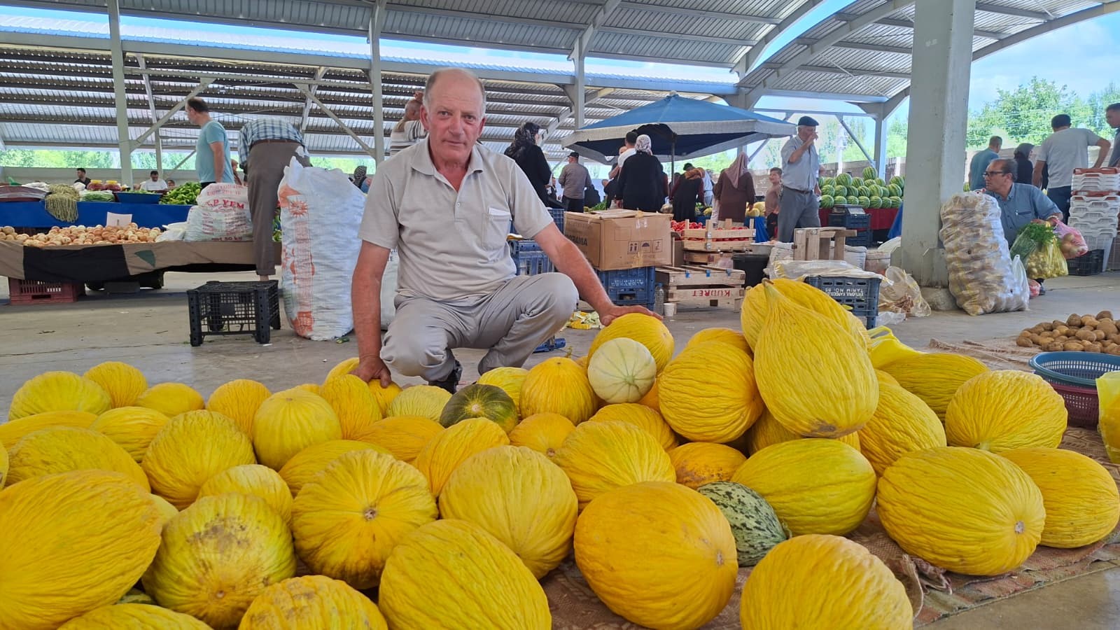 Yerli Kavun 20 Tl’den Tezgâhta Yerini Aldı (2)