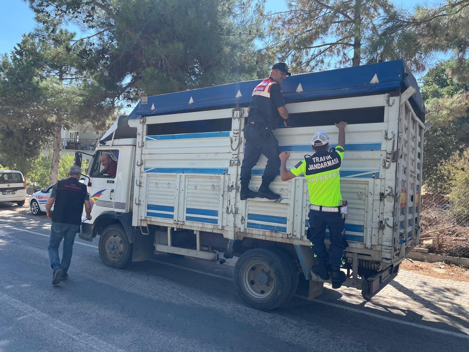 Canlı Hayvan Nakil Araçlarına Denetim (2)