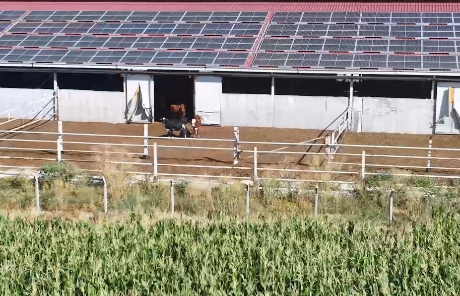 Denizli Tarımı Desteklerle Güçleniyor (3)
