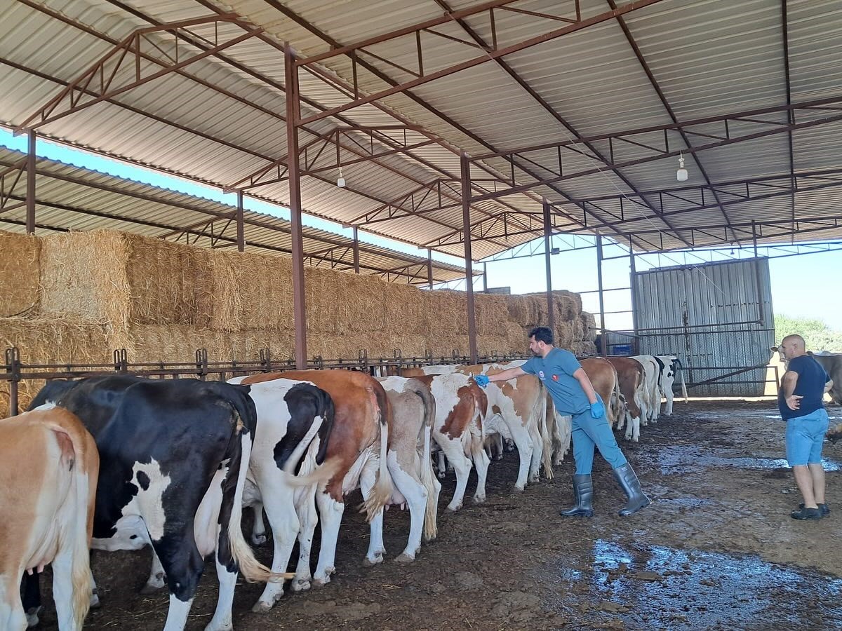 Ege Bölgesi'nde 13 Mahallede, Olası Bir Salgın Tehdidine Karşı Giriş Ve Çıkışlar Karantina Altına Alın