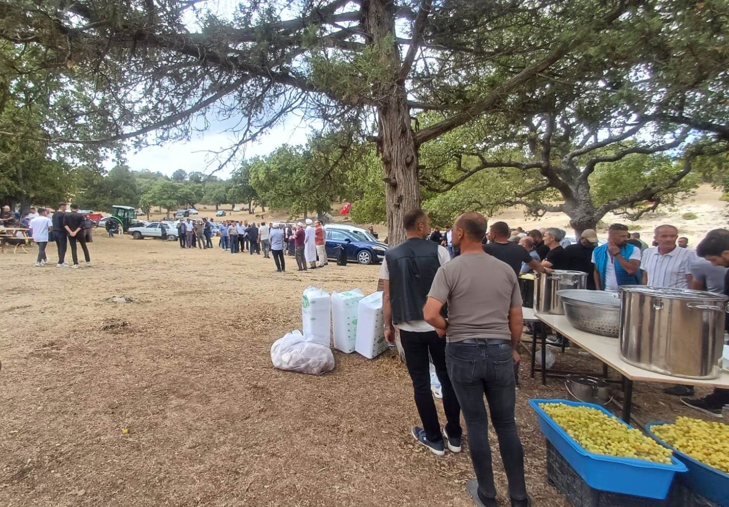Ege'de Asırlık Gelenek Sürüyor! (2)