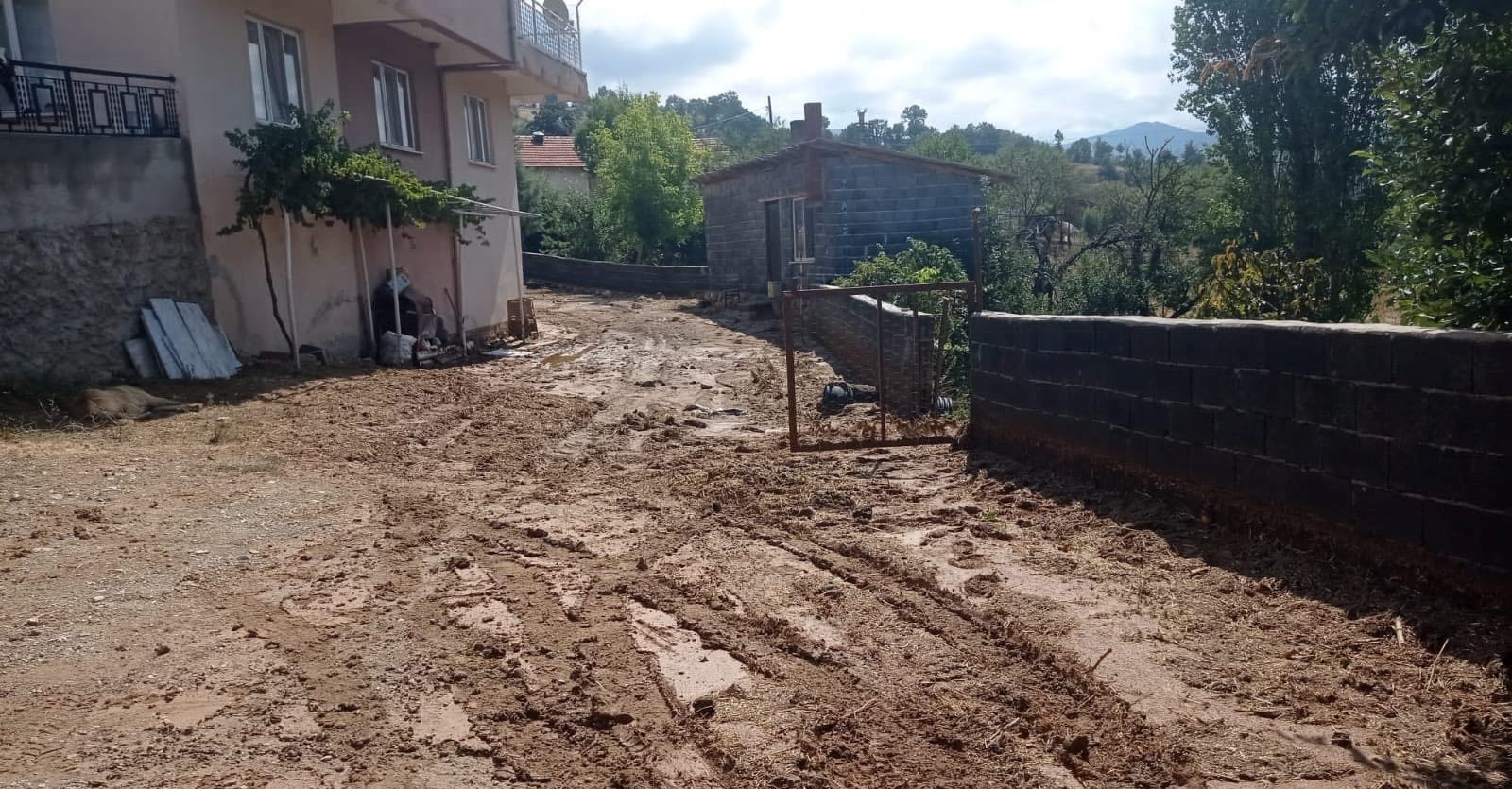 Ege'de Sel Baskınından Zarar Gören Tarım Alanları Tespit Edildi (1)