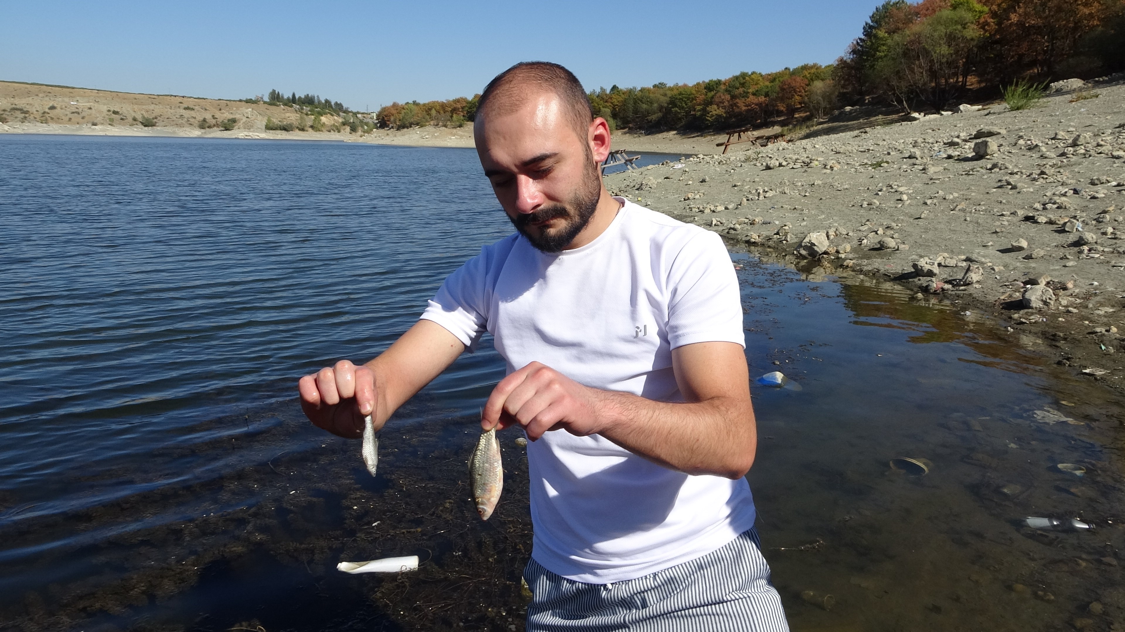 Ege'de Toplu Balık Ölümleri Tedirgin Etti (2)