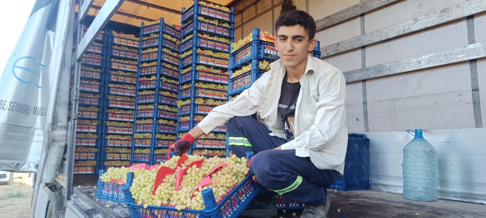 Hayat Üzümle Dönüyor (4)