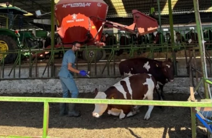 İl Tarım Müdürlüğü’nden Üreticilere Uyarı! (1)