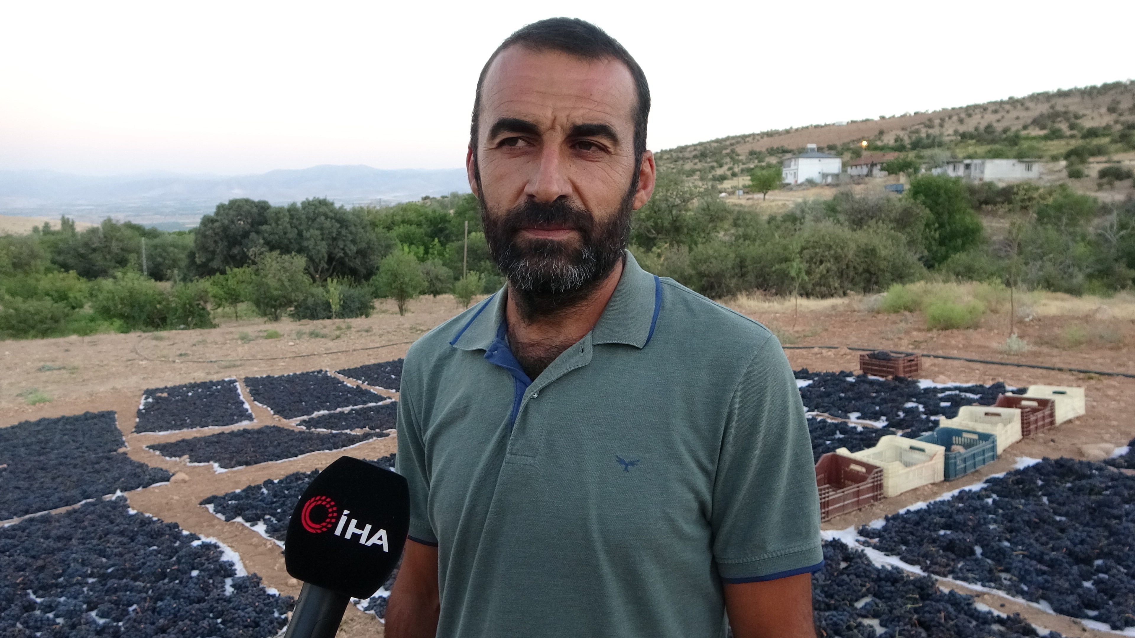 Kilosu 500 Tl'den Alıcı Bulan Kuru Üzüm Yüz Güldürüyor (2)