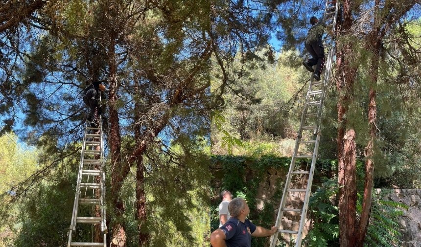 Manisa Itfaiyesi Kediyi Kurtardı 1