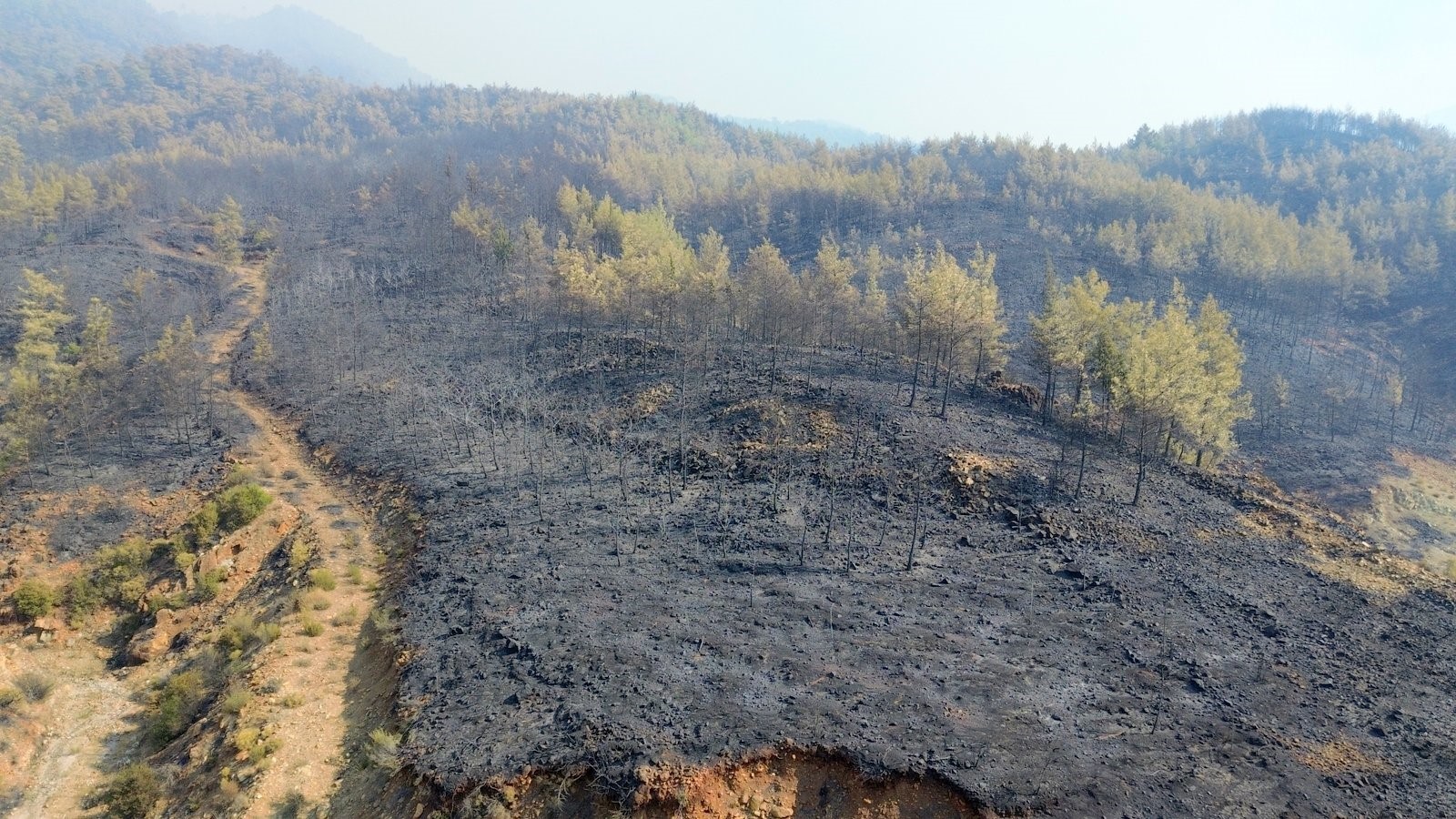 Muğla'daki Yangınla Ilgili Bakan Yumaklı'dan Açıklama! (1)