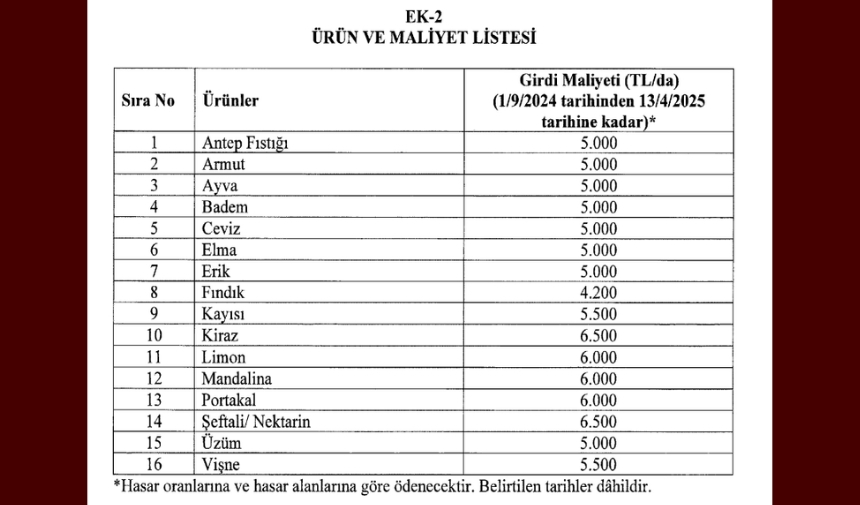 Resmi Gazete Yayın 2