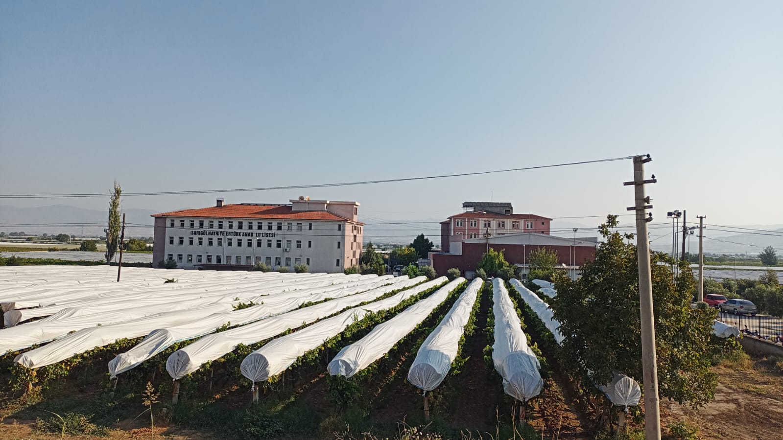Sarıgöl Hayriye Ertürk Yol (1)