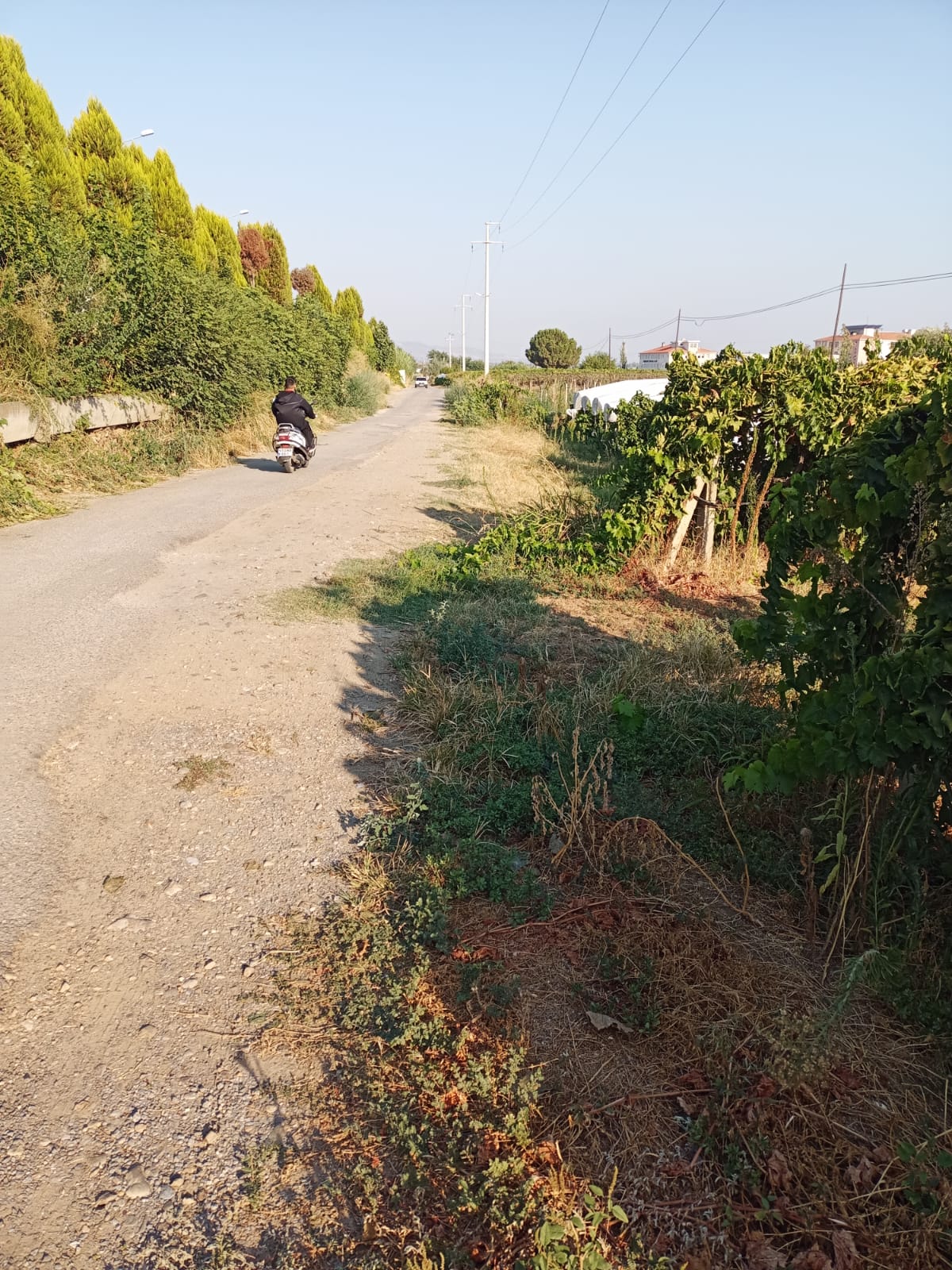 Sarıgöl Hayriye Ertürk Yol (2)