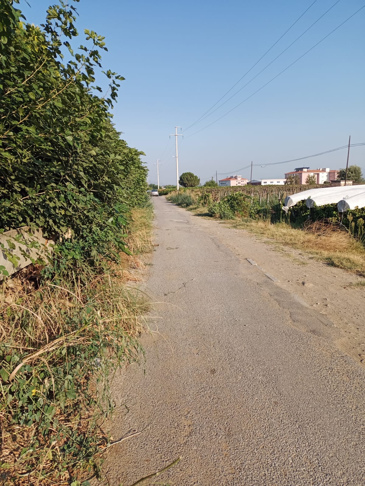 Sarıgöl Hayriye Ertürk Yol (3)
