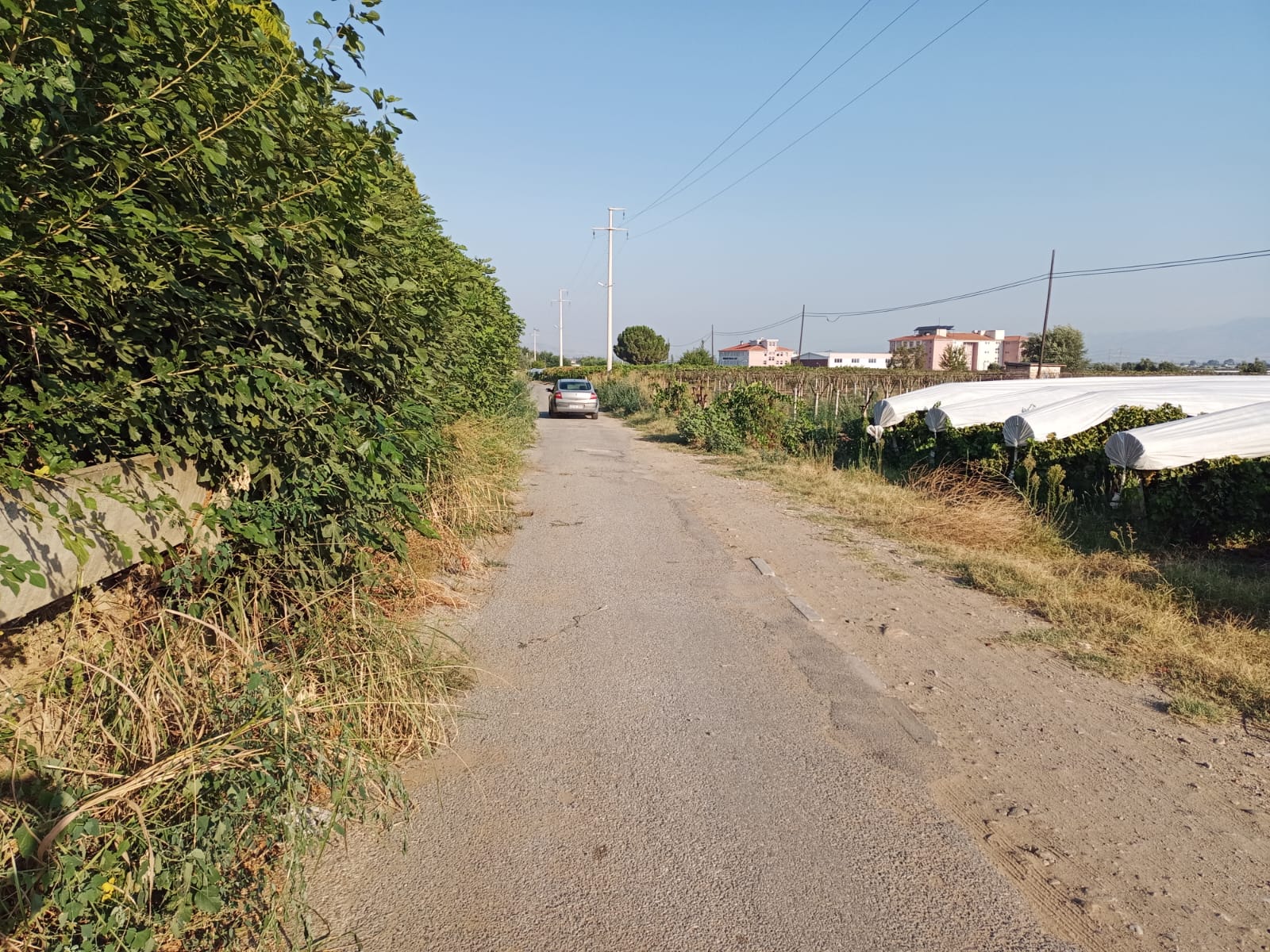 Sarıgöl Hayriye Ertürk Yol (4)