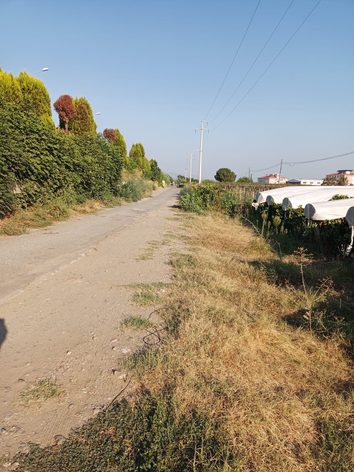Sarıgöl Hayriye Ertürk Yol (5)