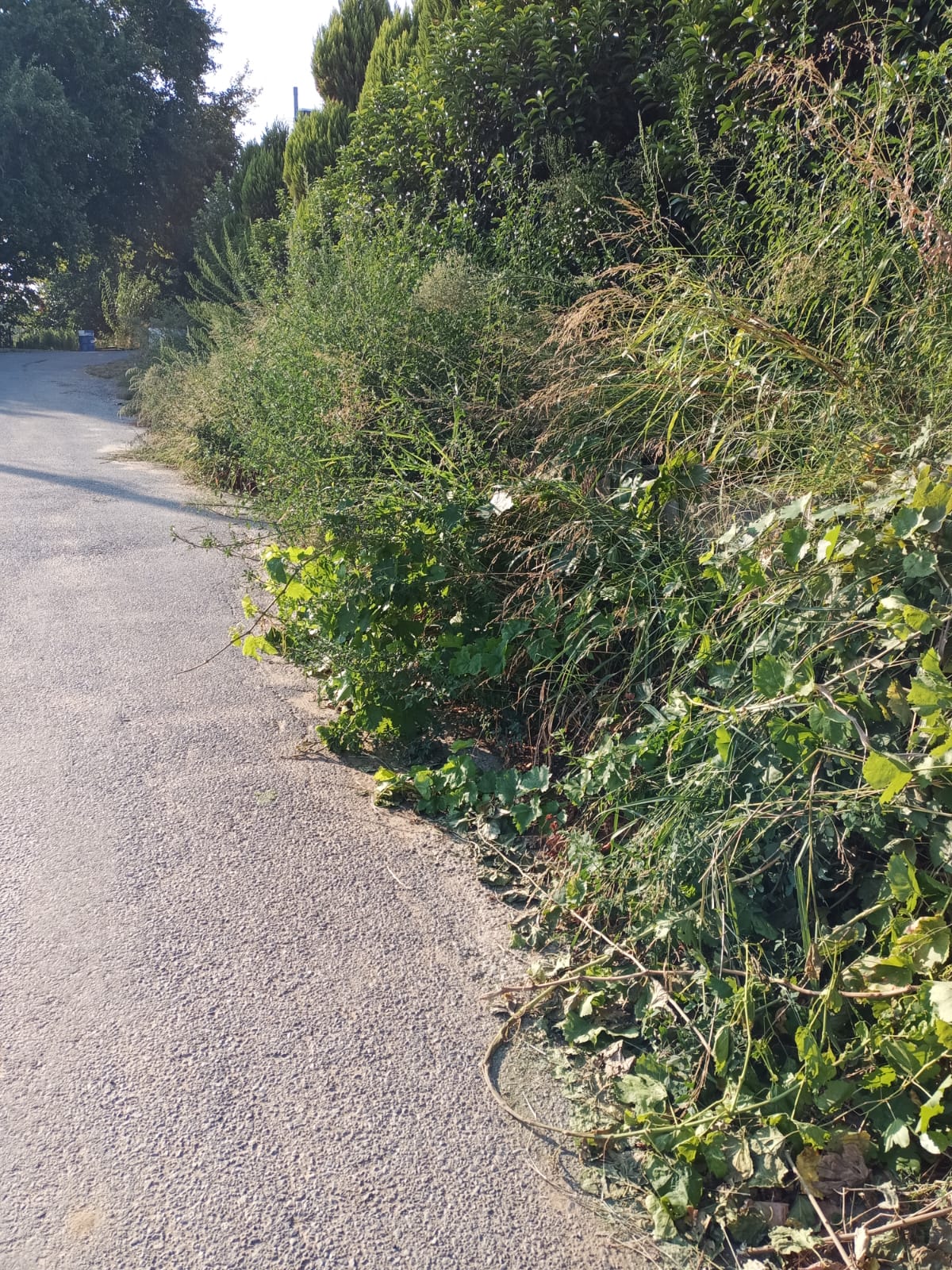 Sarıgöl Hayriye Ertürk Yol (6)