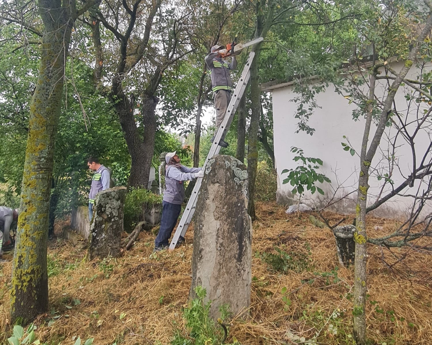 Teslim Abdal Sultan Türbesi Temizlendi! (3)
