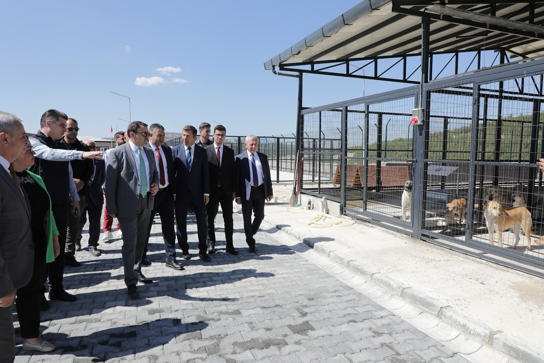 Valisi Işın'dan Yapımı Tamamlanan Hayvan Barınağında Inceleme! (4)