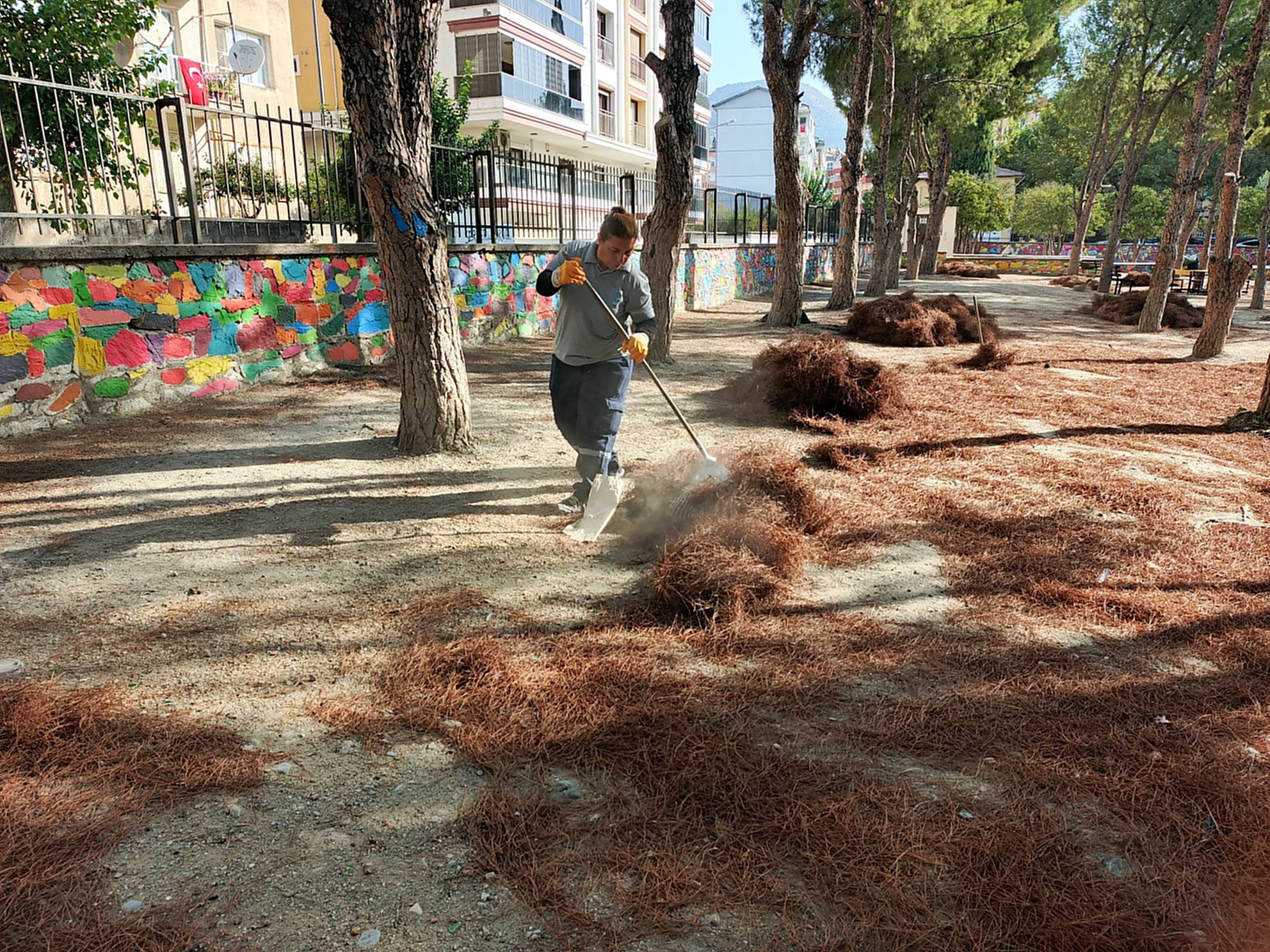 Yeni Eğitim Öğretim Yılı Öncesinde Okullarda Temizlik Çalışmaları Başladı (3)