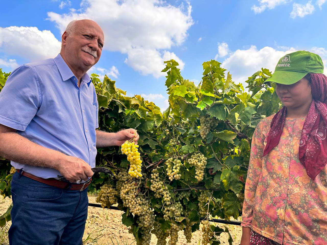 480195969 1140747007840342 313241487538225999 N