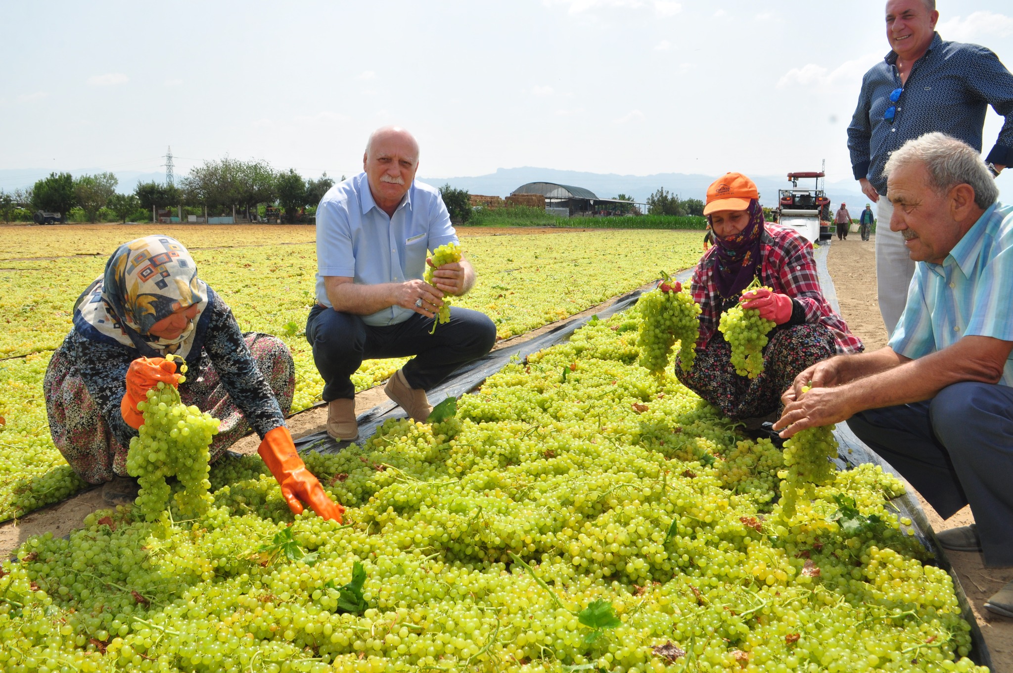 480593716 1140746854507024 5538999774612611818 N