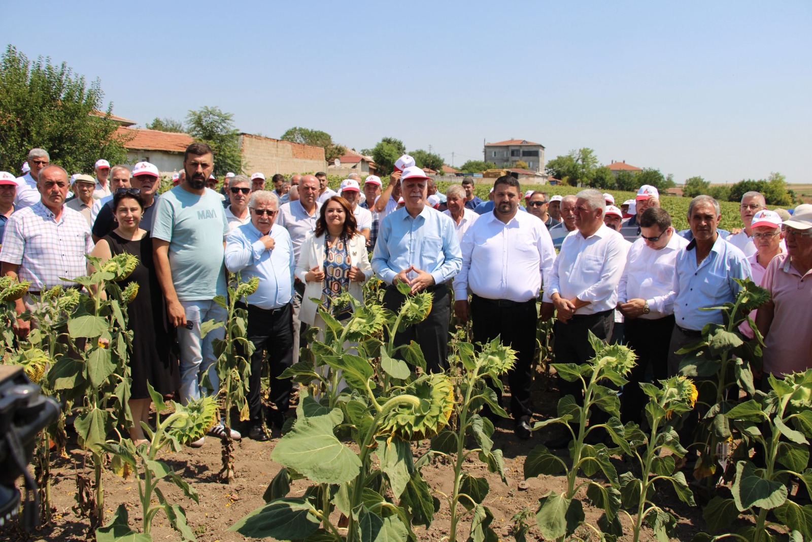 518324291 1255642626350779 7264077714063991221 N