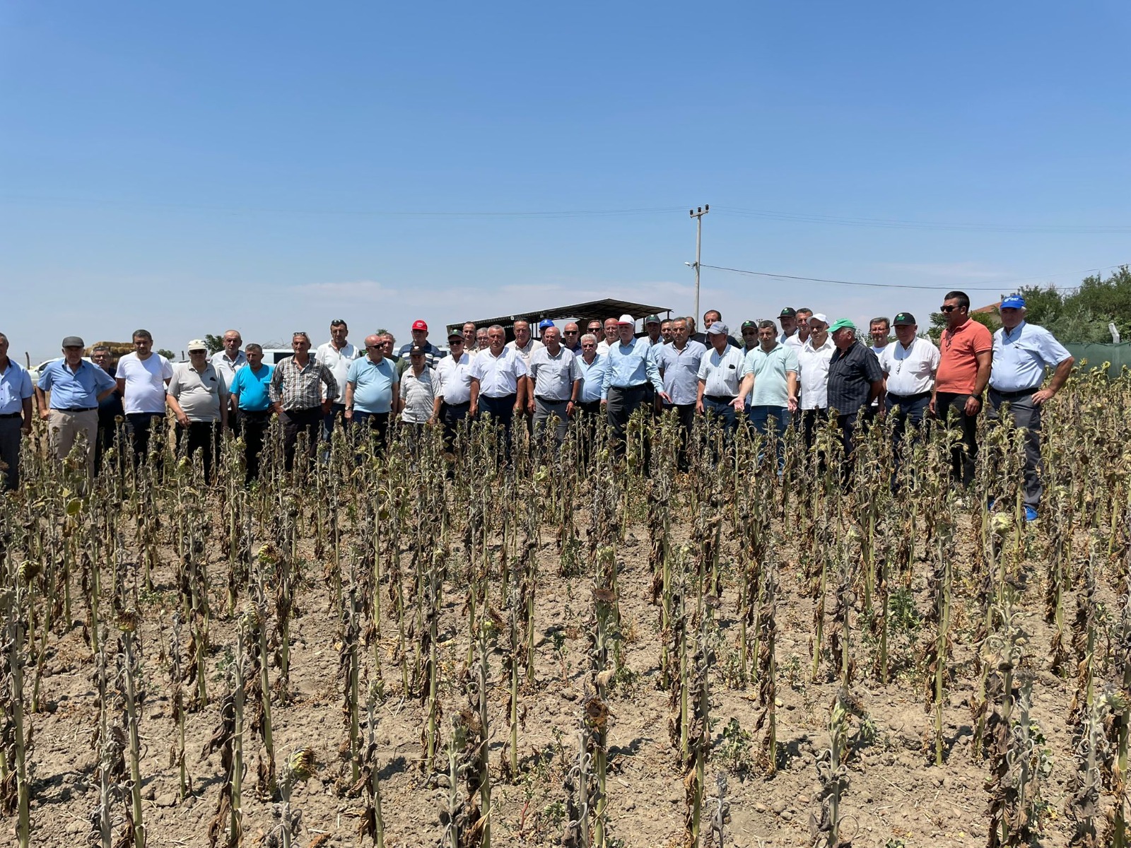 518353004 1255677563013952 1427493883050459575 N