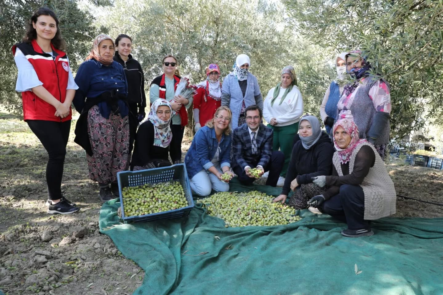 565545912 18403906816186506 8984494177483148509 N