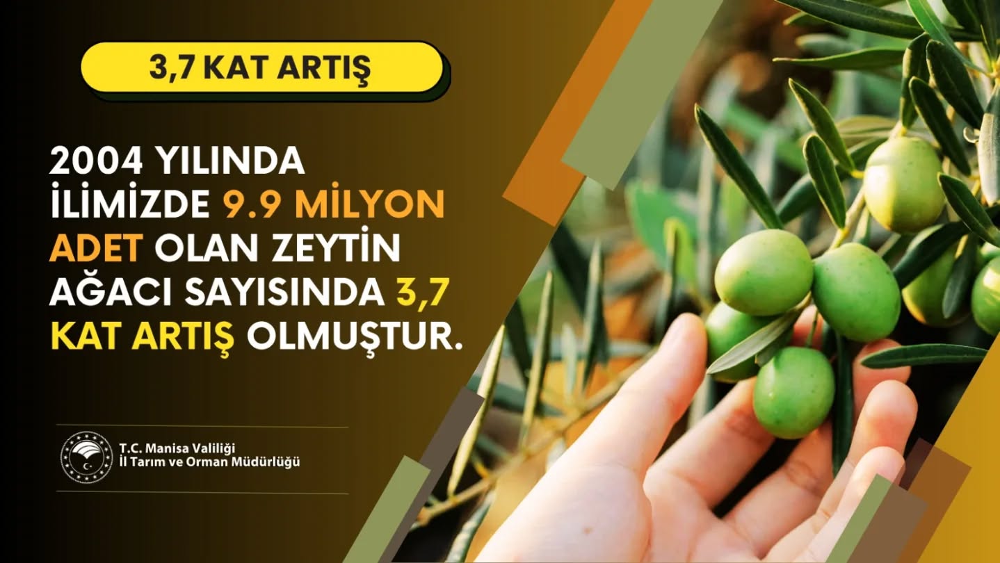 571760909 18406225159186506 4014934212839477560 N