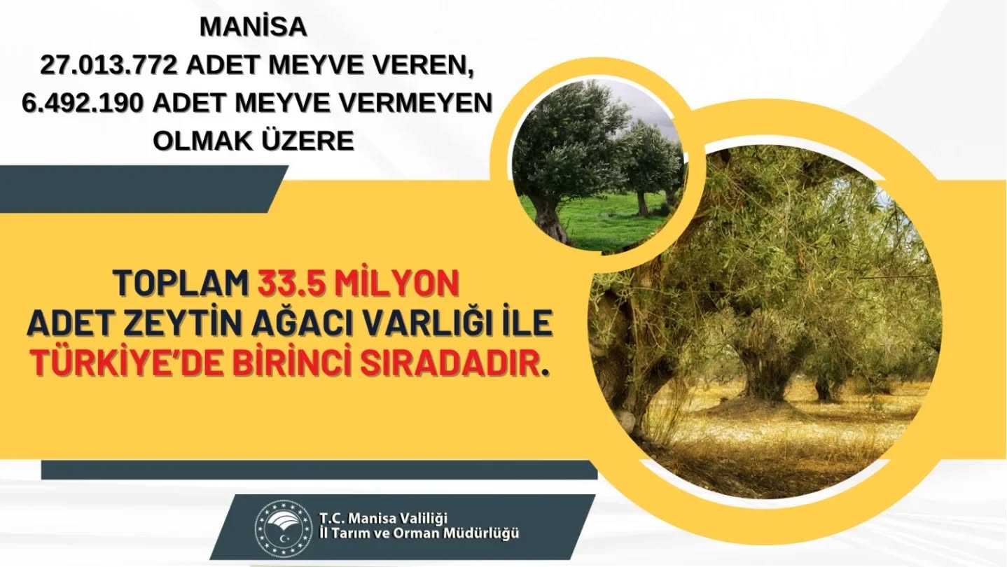 572354250 18406225105186506 7192978217855149702 N