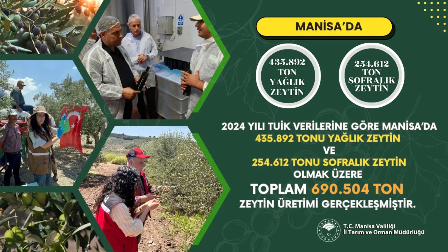 573293679 18406224829186506 1935026879146551055 N