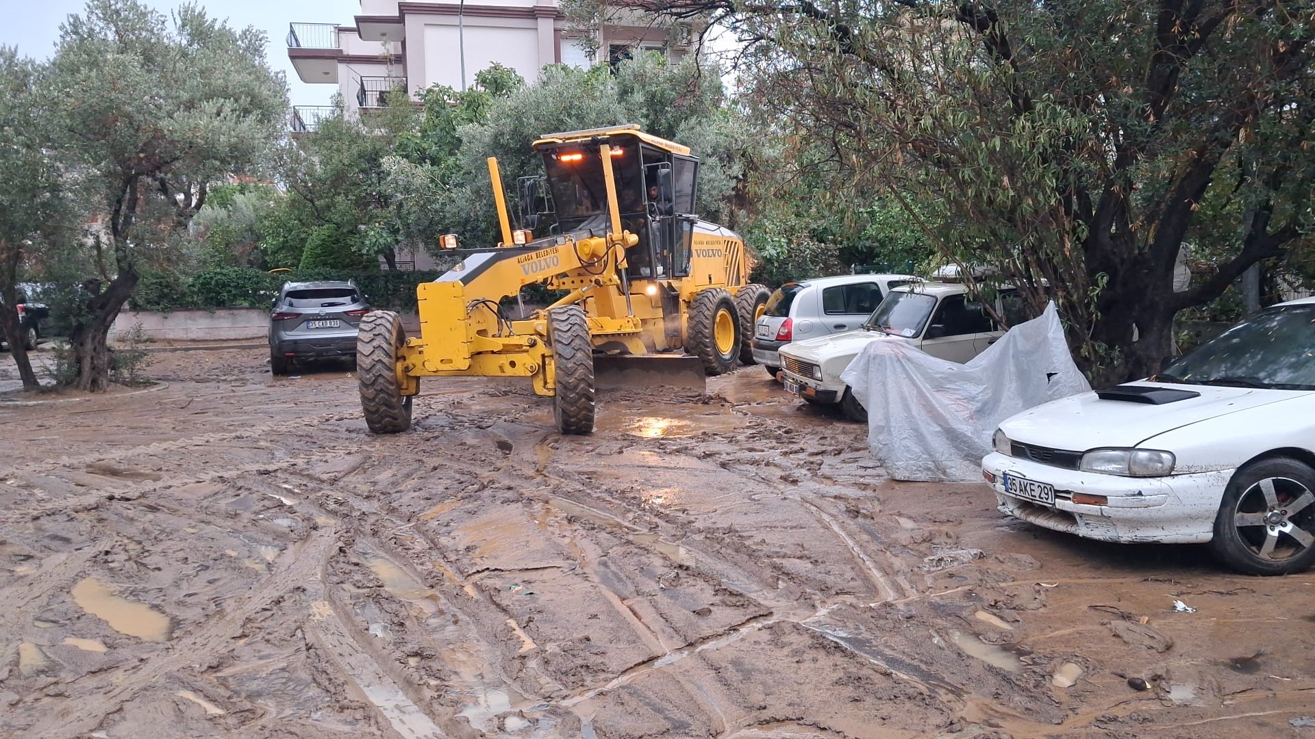 Aliağabelediyesi (3)