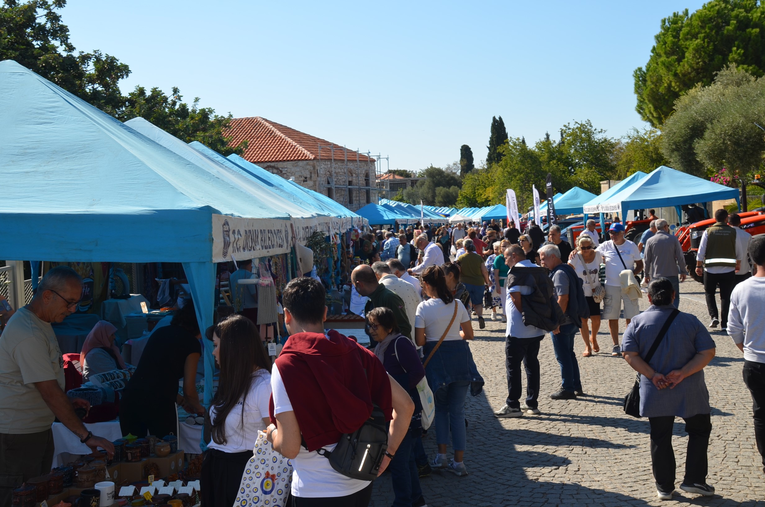 Aydın'ın Didim Ilçesinde Bu Yıl 7. Düzenlenen Didim Zeytin Festivali Geçen Yıl Olduğu Gibi Bu Yılda Zeytinyağı Tadım Rekoru Kırıldı (1)