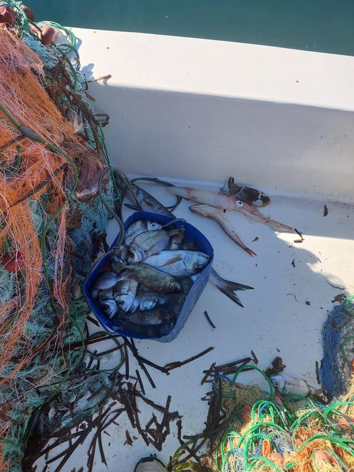 Balıkçılara Denetim (2)