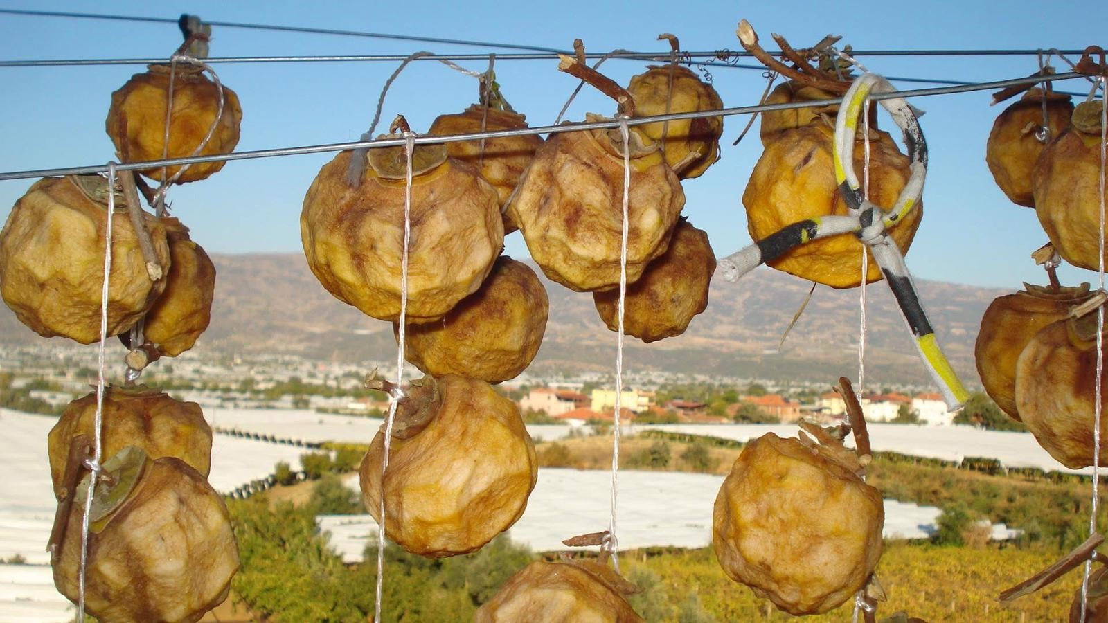 Cennet Elmaaaasııı (2)