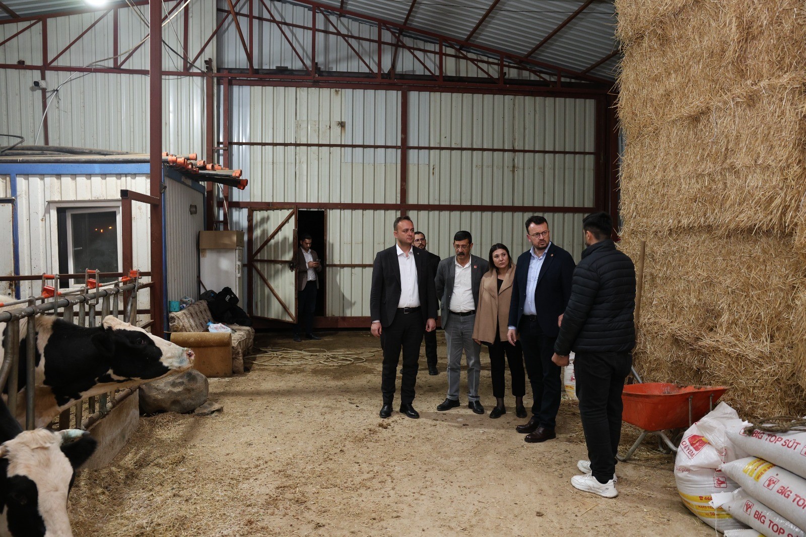 Denizli Şap Hastalığı (2)