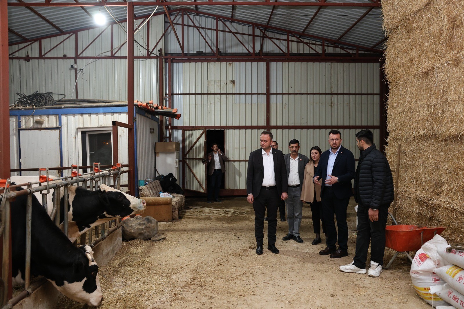 Denizli Şap Hastalığı (3)