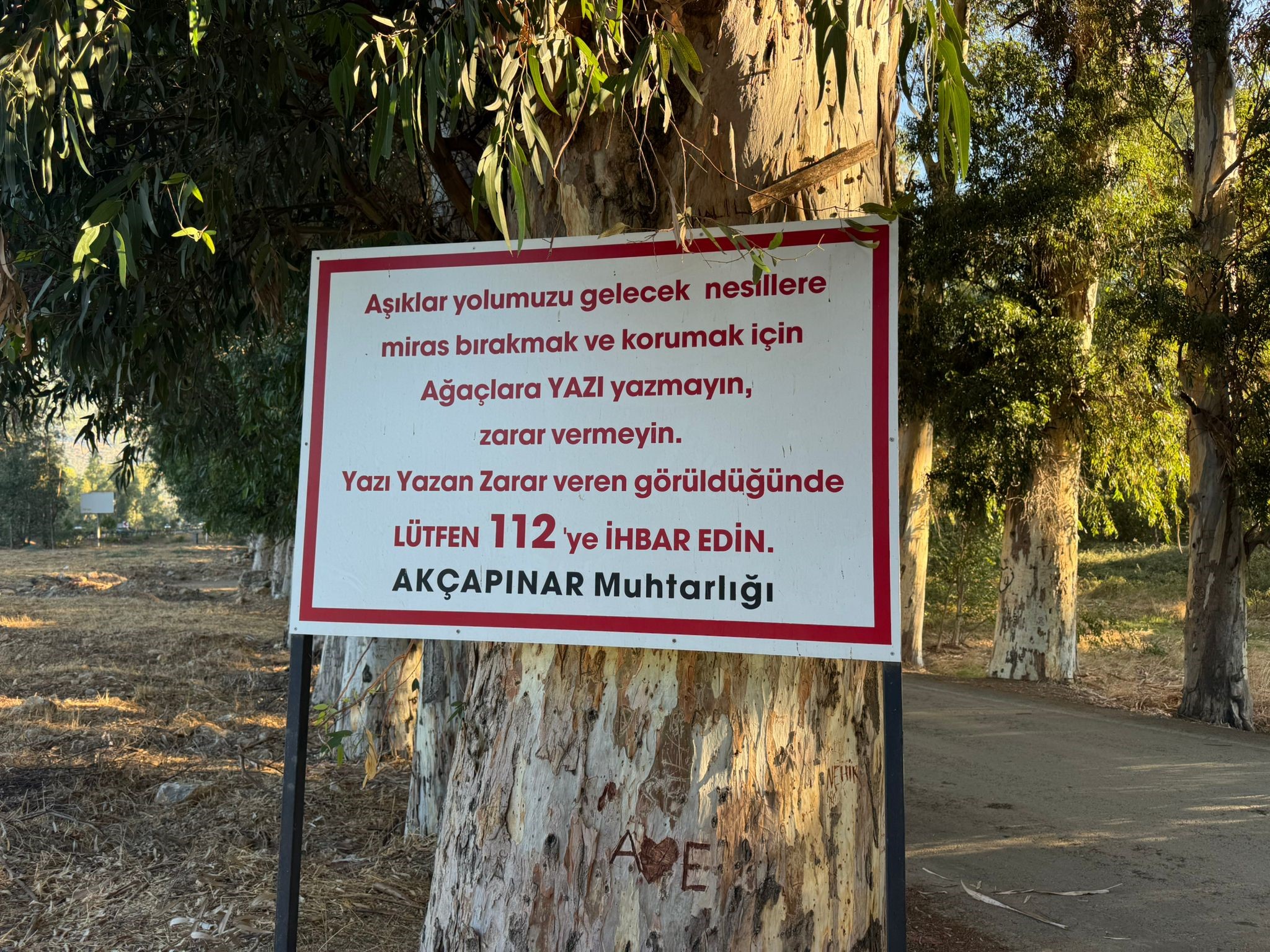 Ege'de Ağaçlara Yazı Yazanlara Tabela Ile Uyarı! (4)