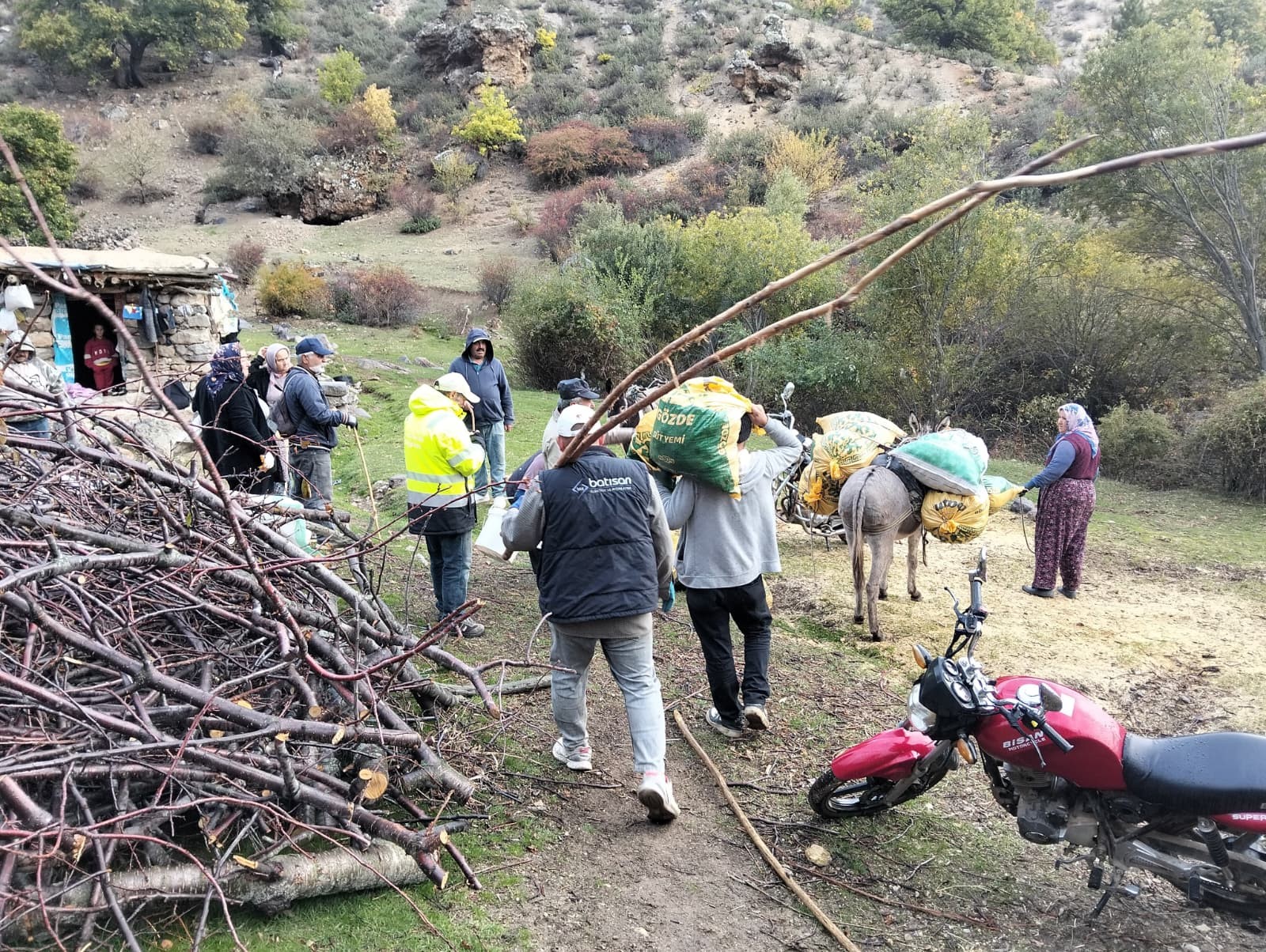 Egede Hasat (3)