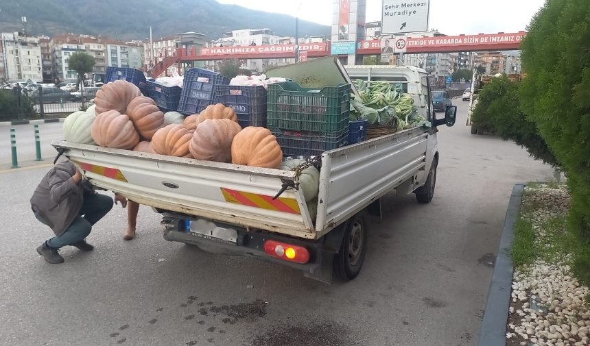 Manisa'da Kamyonete Çarpan Otomobilin Sürücüsü Yaralandı 1