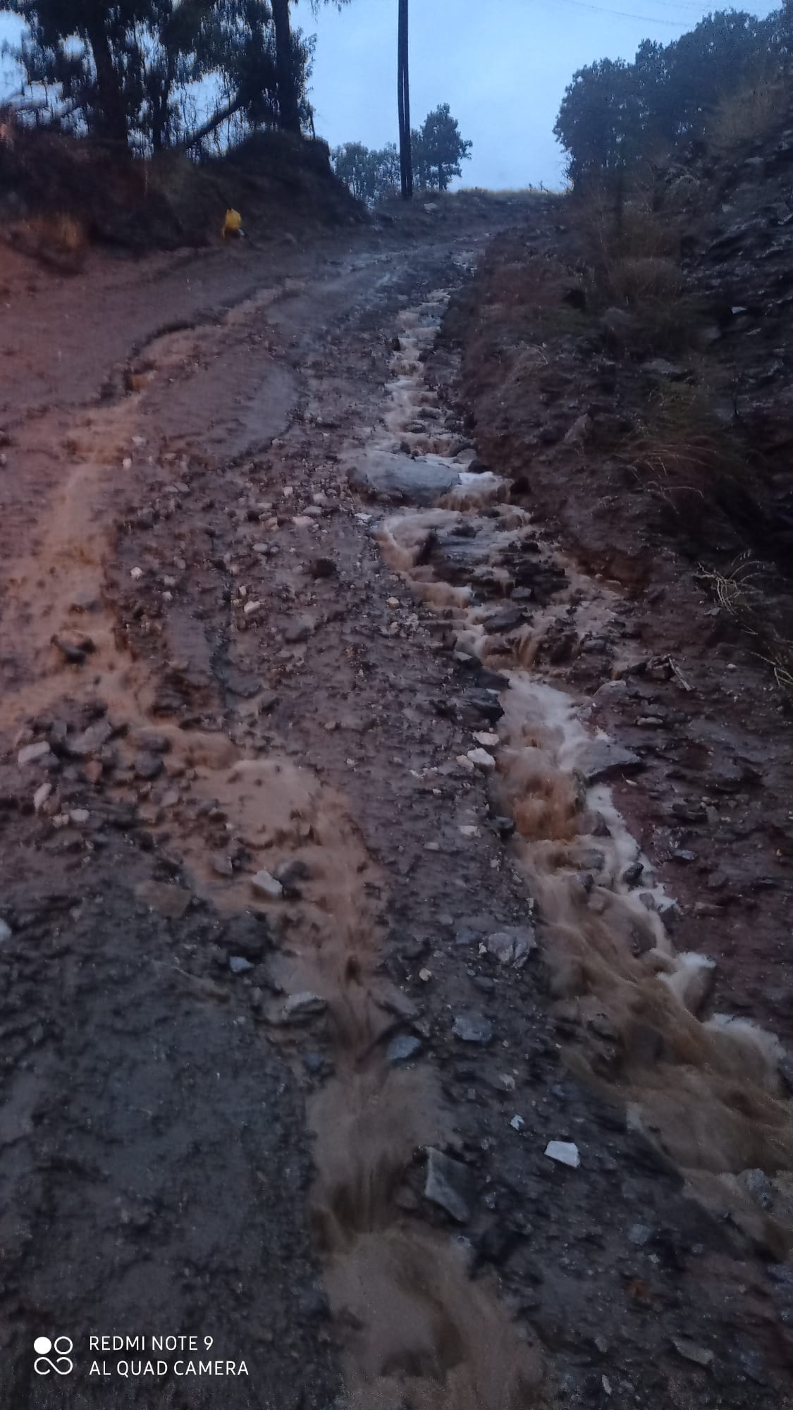 Sarıgöl Yol (1)