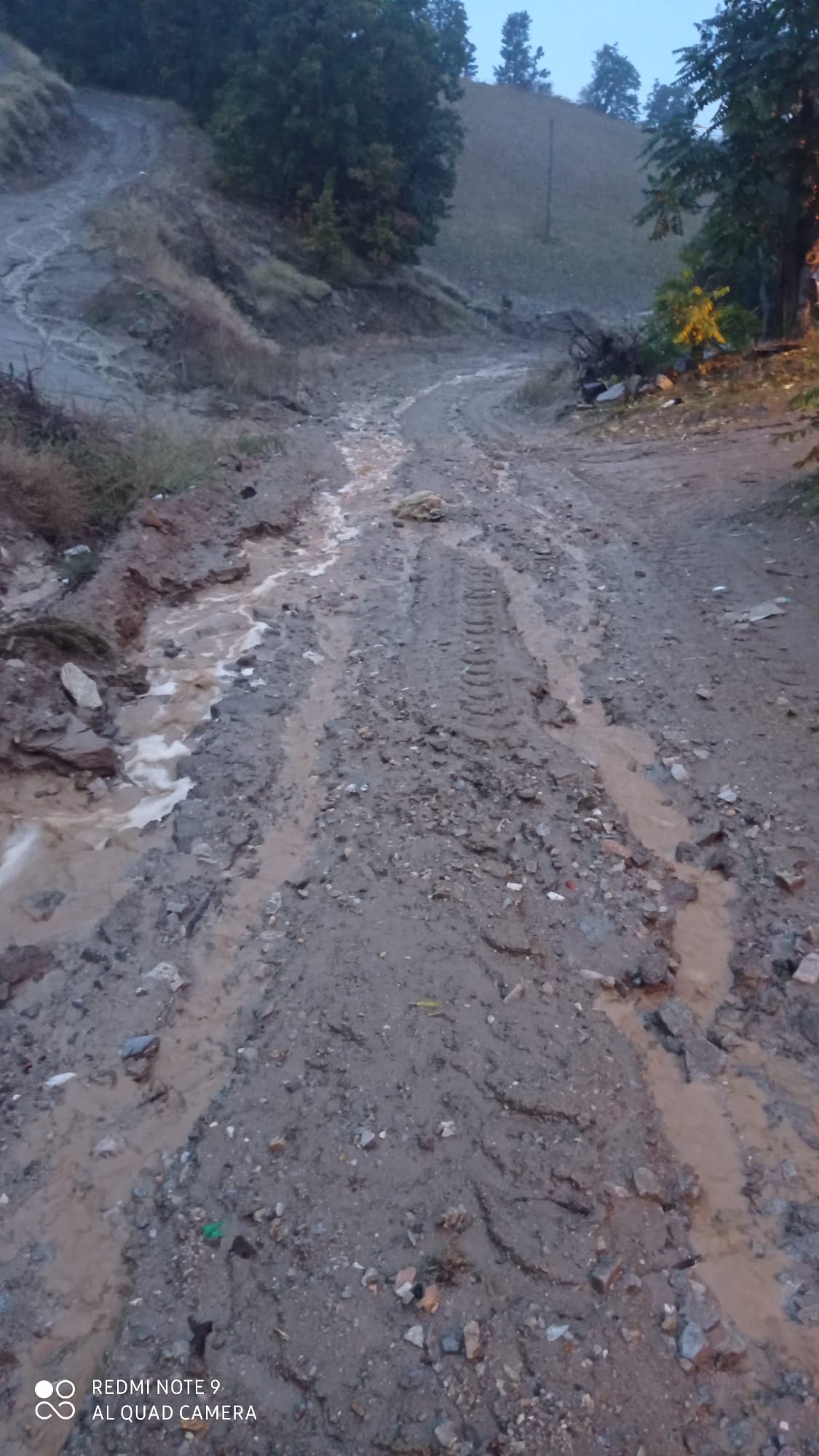 Sarıgöl Yol (6)