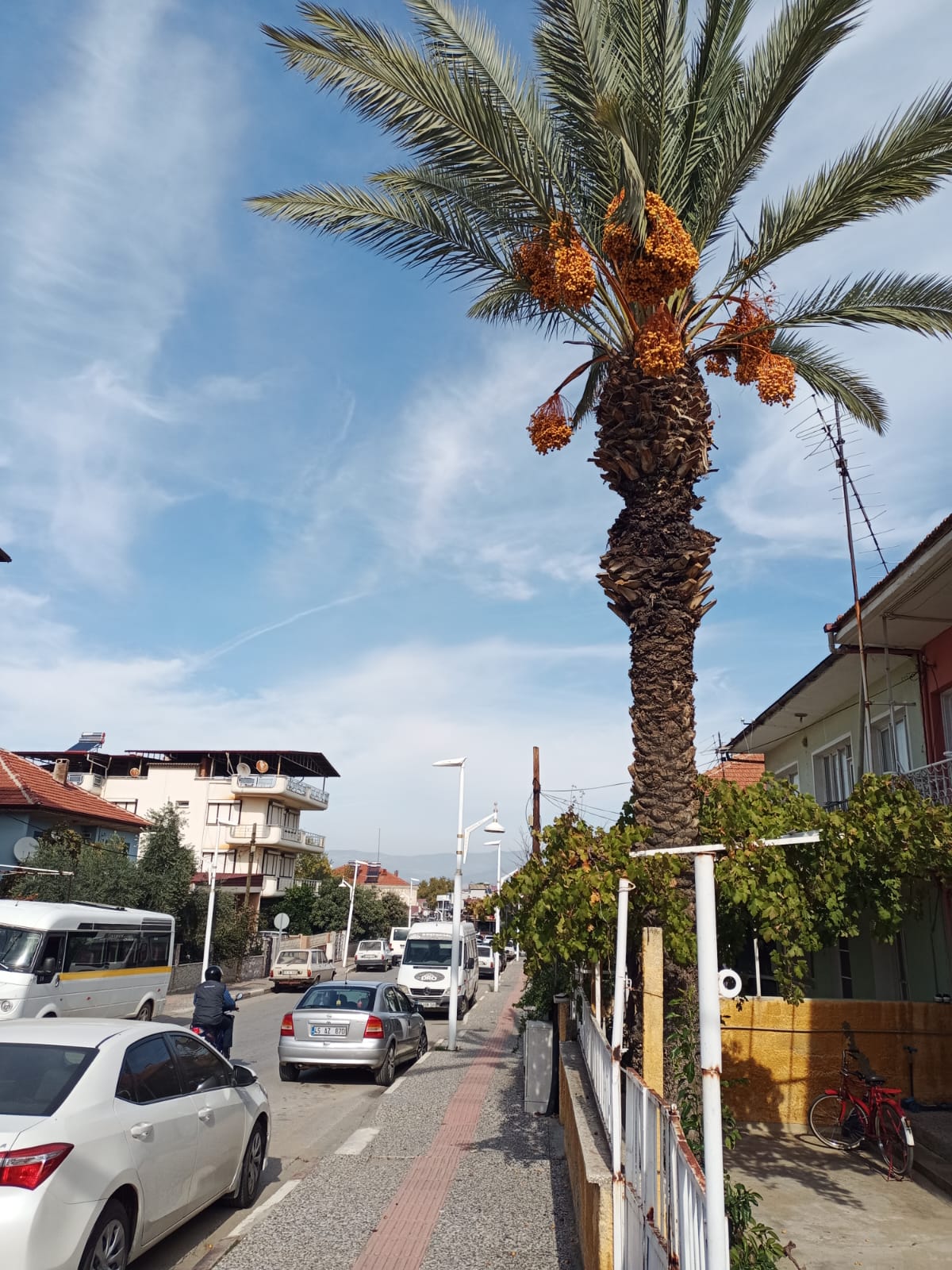 Whatsapp Image 2025 10 31 At 15.49.19 (1)