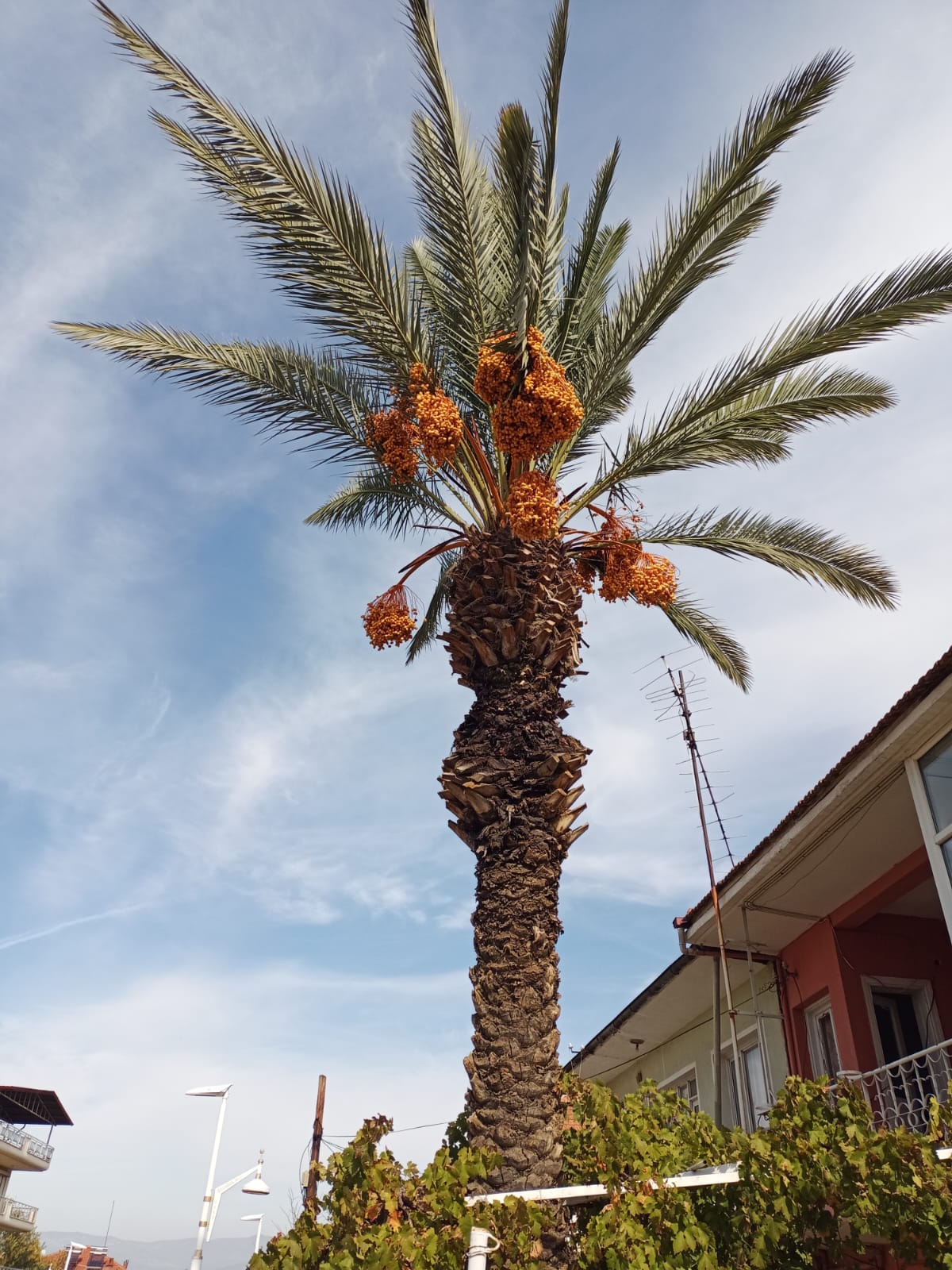 Whatsapp Image 2025 10 31 At 15.49.19 (2)